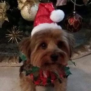 Meet your Posher, Vickie